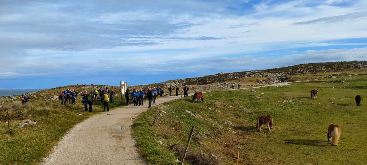 2026-01-11 at 21.22.55 (6)